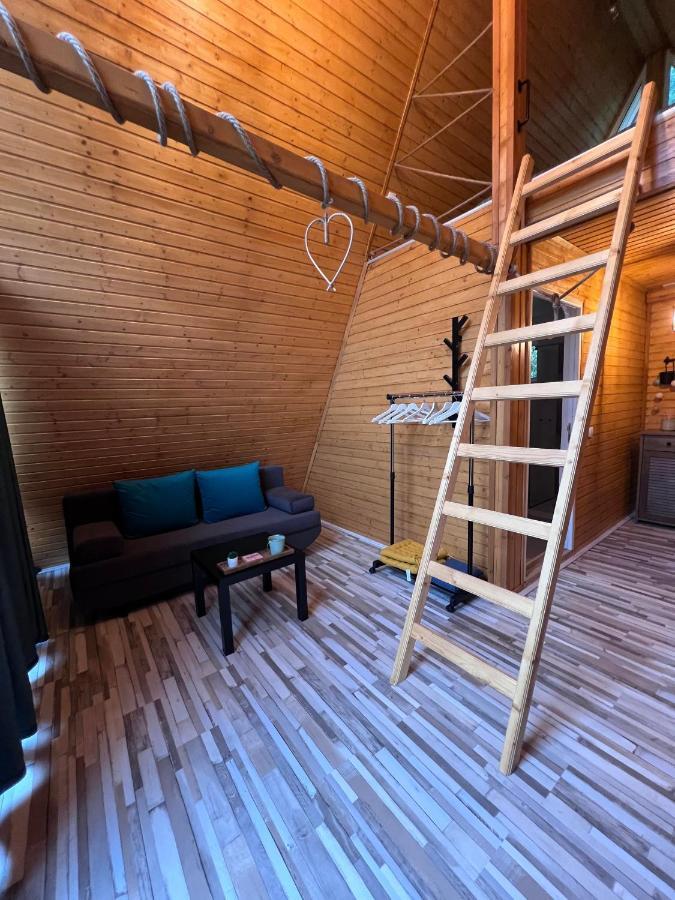 Cabane A-Frame Svinita Екстериор снимка
