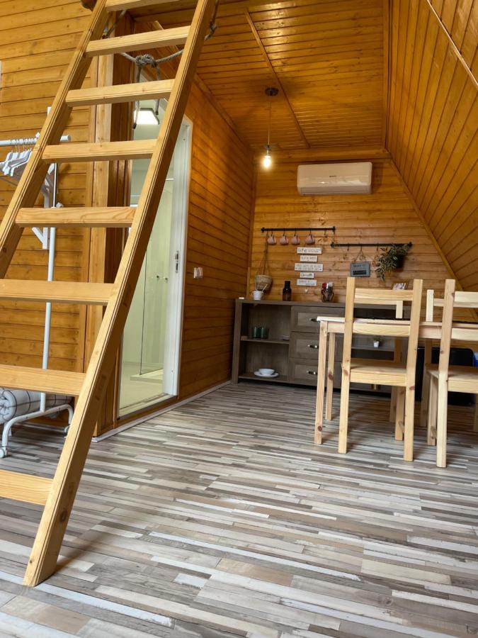 Cabane A-Frame Svinita Екстериор снимка