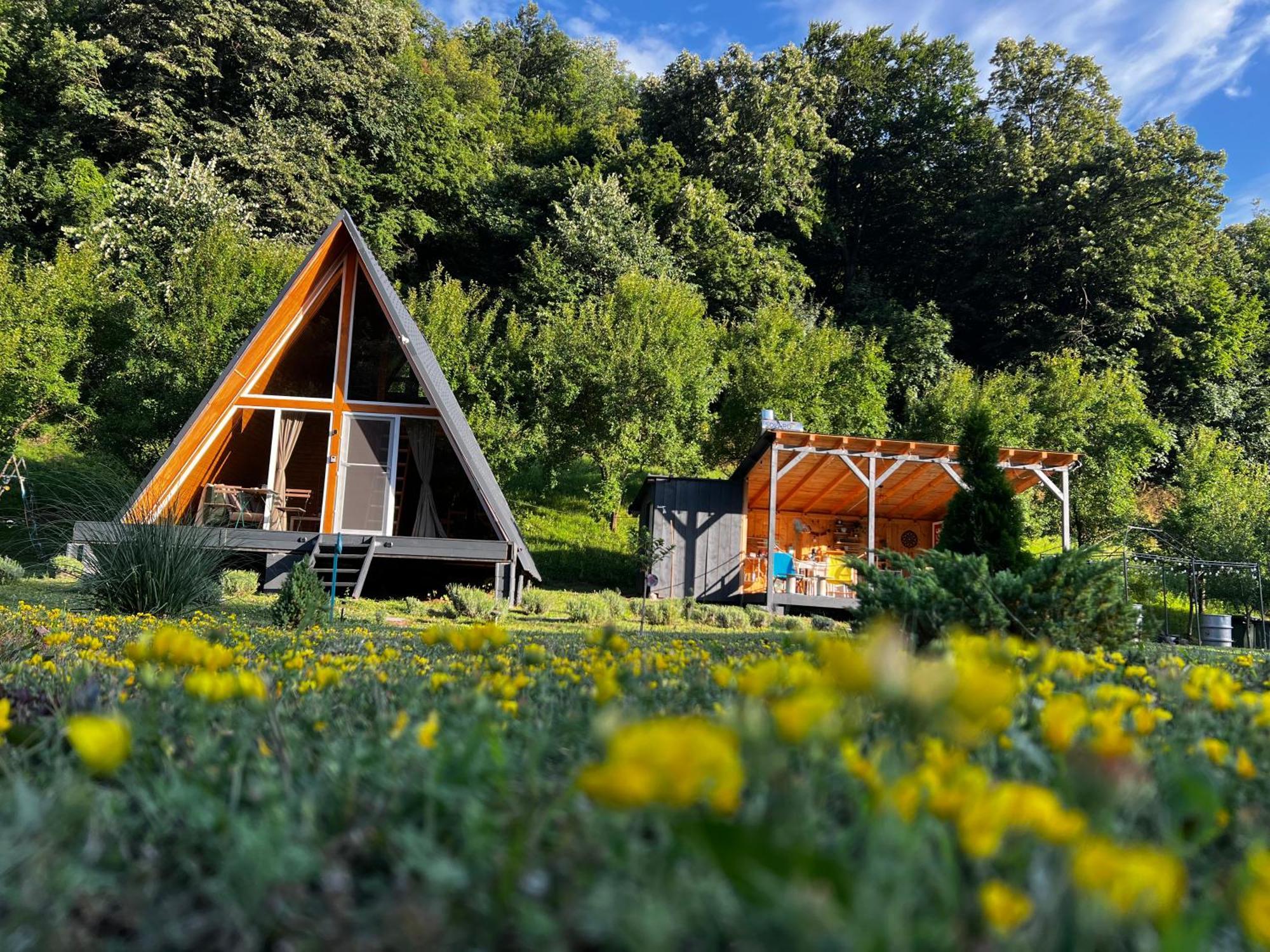 Cabane A-Frame Svinita Екстериор снимка