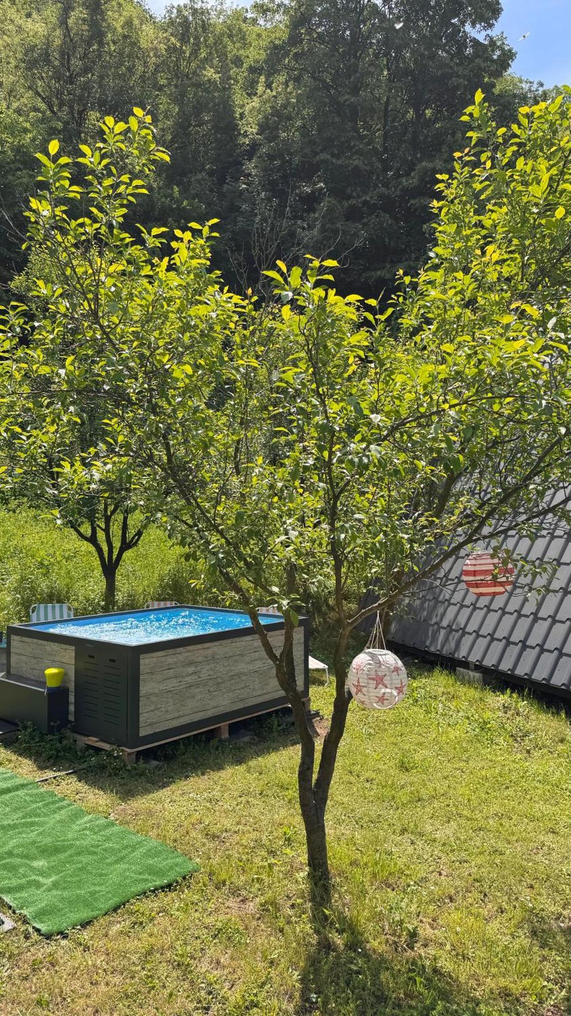 Cabane A-Frame Svinita Екстериор снимка